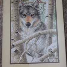 Работа «Wintry Wolf»