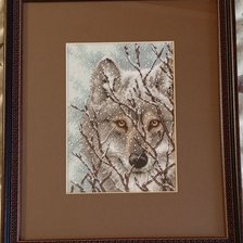 Работа «Wolf»