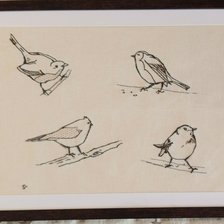 Работа «Лесные птицы»