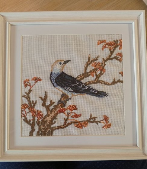 Работа «Чернокрылый скворец»