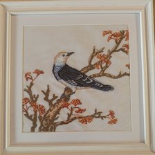 Работа «Чернокрылый скворец»