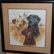 Работа «Great Hunting Dogs»