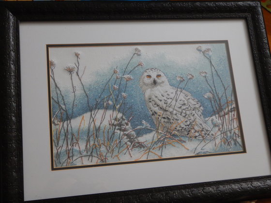 Работа «Northwind Owl»