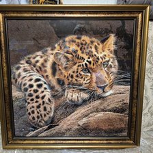 Работа «Лапочка»