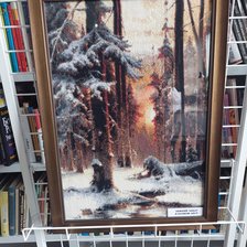 Работа «Закат в еловом лесу»