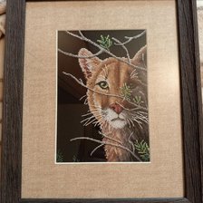 Работа «In the Shadows»