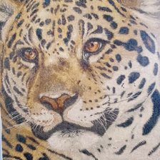 Работа «Леопард»