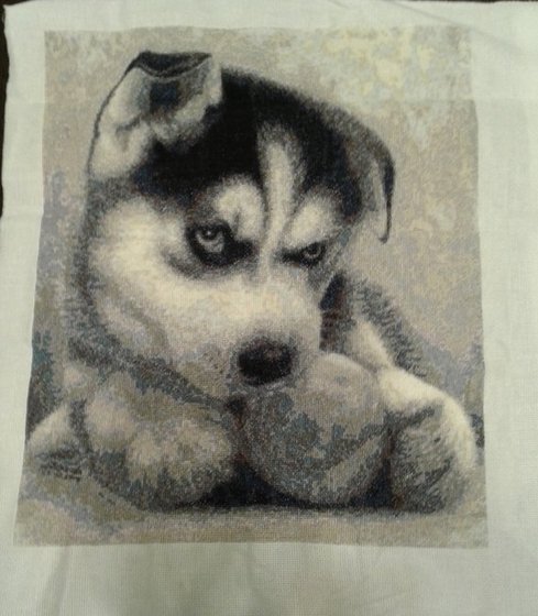 Работа «Щенок хаски»