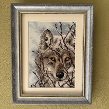 Работа «Волк от Dimensions»