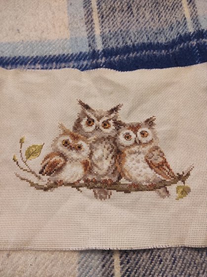 Работа «Совушки»