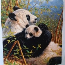 Работа «Панды»