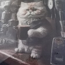 Работа «№100992»