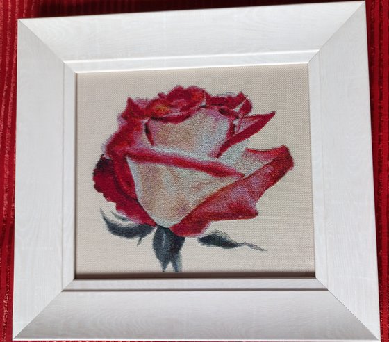 Работа «Роза 5»