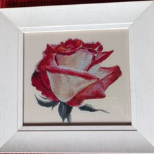 Работа «Роза 5»