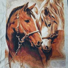 Работа «№101039»