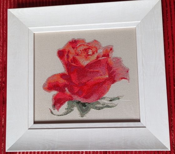 Работа «Роза 6»