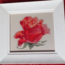 Работа «Роза 6»