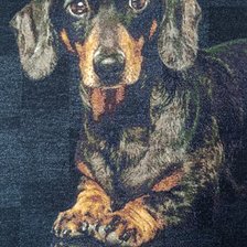 Работа «№101047»