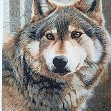 Работа «№101049»