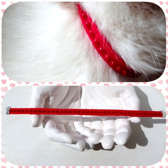 Работа «Ошейник для моей кошки»