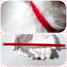 Работа «Ошейник для моей кошки»