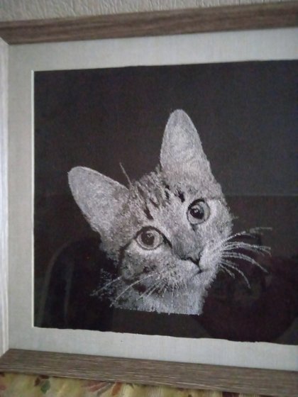 Работа «грустный кот Семён»