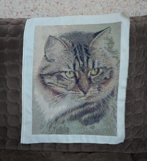 Работа «Важный кот»