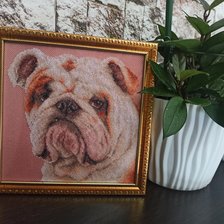 Работа «Английский бульдог"Чудесная игла"20каунт,п/кр.2 нити.17,5*17,5см»