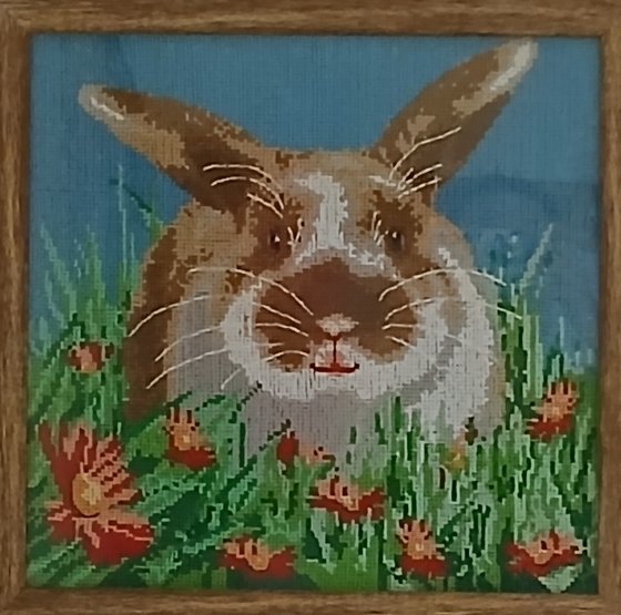 Работа «Кролик»