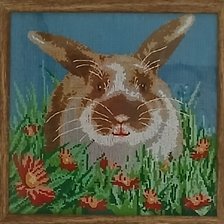 Работа «Кролик»