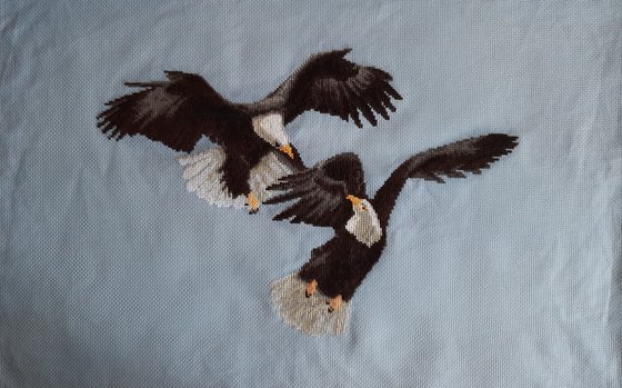 Работа «"Орлы над каньоном",  ВТ- 054,Чаривна Мить.»