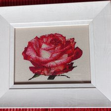 Работа «Роза 9»