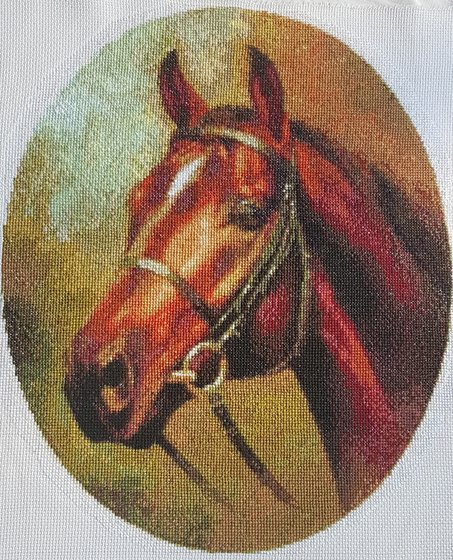 Работа «Лошадь (портрет)»