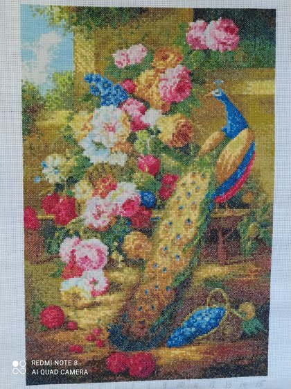 Работа «Павлин Великолепный»