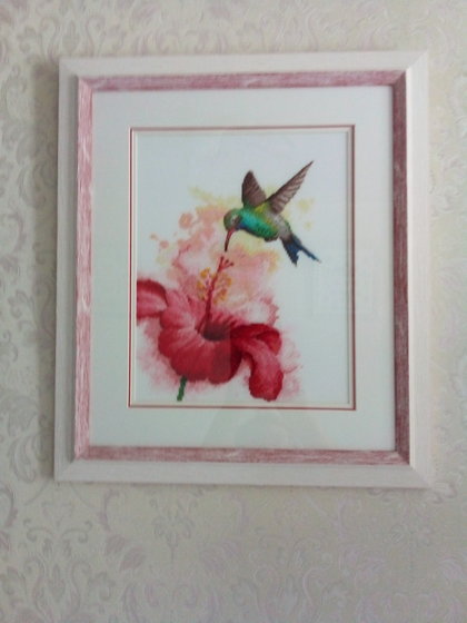 Работа «Колибри   Риолис»