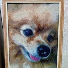 Работа «Любимая собака Линда»