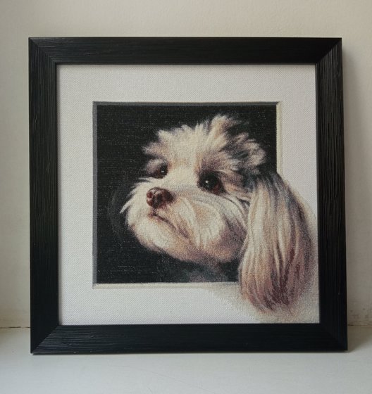 Работа «Болонка»