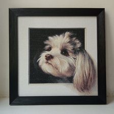 Работа «Болонка»