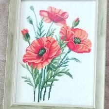 Работа «Маков цвет.»