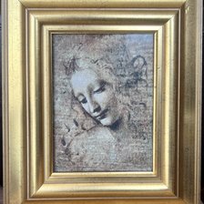 Работа «Leonardo: Női fej»