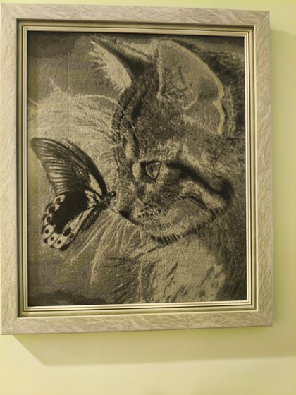 Работа «Кот и бабочка»