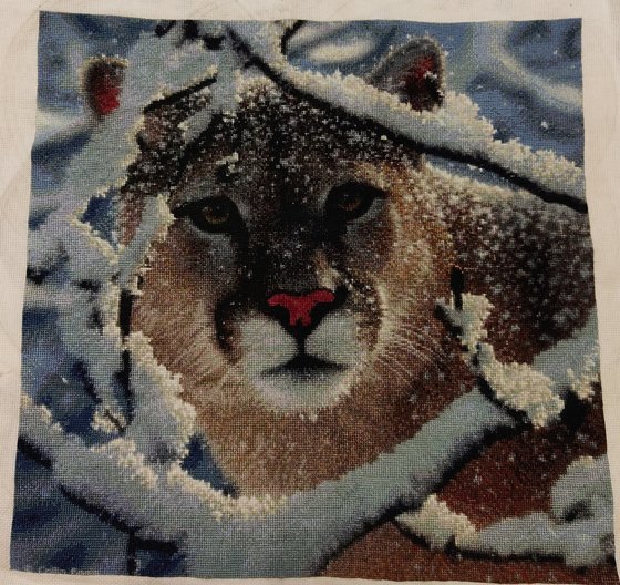 Работа «Пума в снегу»