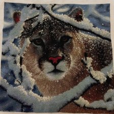 Работа «Пума в снегу»