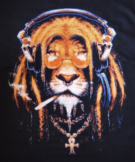 Работа «Раста-Лев»