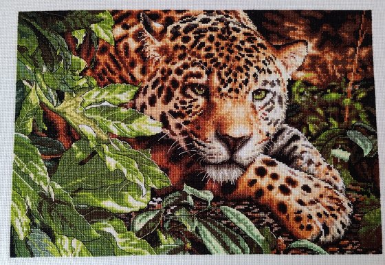 Работа «Леопард на отдыхе»