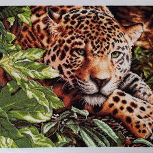 Работа «Леопард на отдыхе»