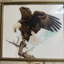 Работа «Белый орлан»