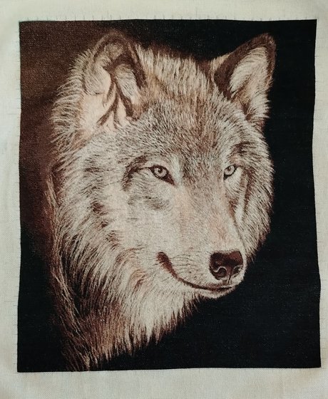 Работа «Серия Хищники. Волк»