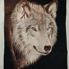 Работа «Серия Хищники. Волк»