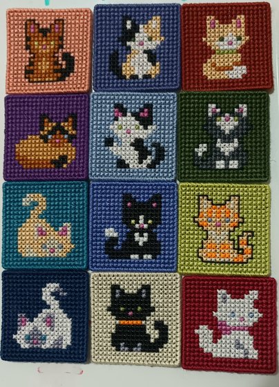 Работа «Котомагниты»